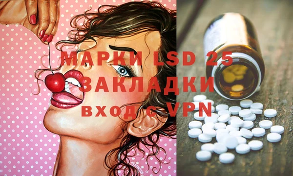 прущие грибы Магас