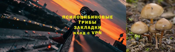 прущие грибы Абдулино