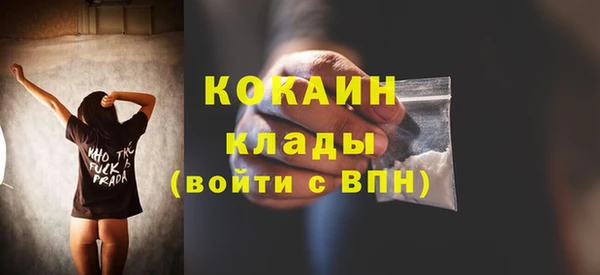 прущие крисы Абаза
