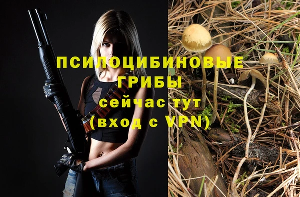 a pvp Абинск
