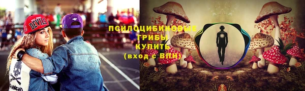 прущие крисы Абаза