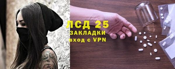 прущие грибы Абдулино